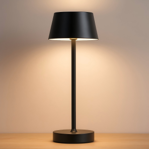 38cmH Metal LED Lamp