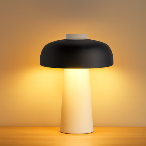 Modern Mushroom Table Lamp, Metal & Acrylic, Black Shade with White Base, H19cm